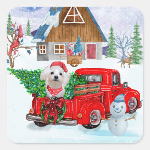 Maltese Dog In Christmas Delivery Truck Snow Square Sticker