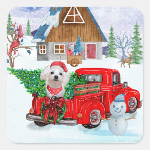 Maltese Dog In Christmas Delivery Truck Snow Square Sticker