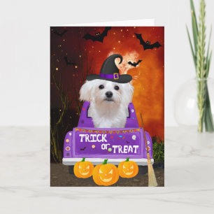 Maltese Dog in Halloween Truck Card