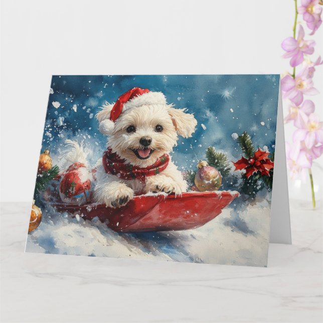 Maltese Dog in Sledge Let it Snow Christmas Card (Orchid)