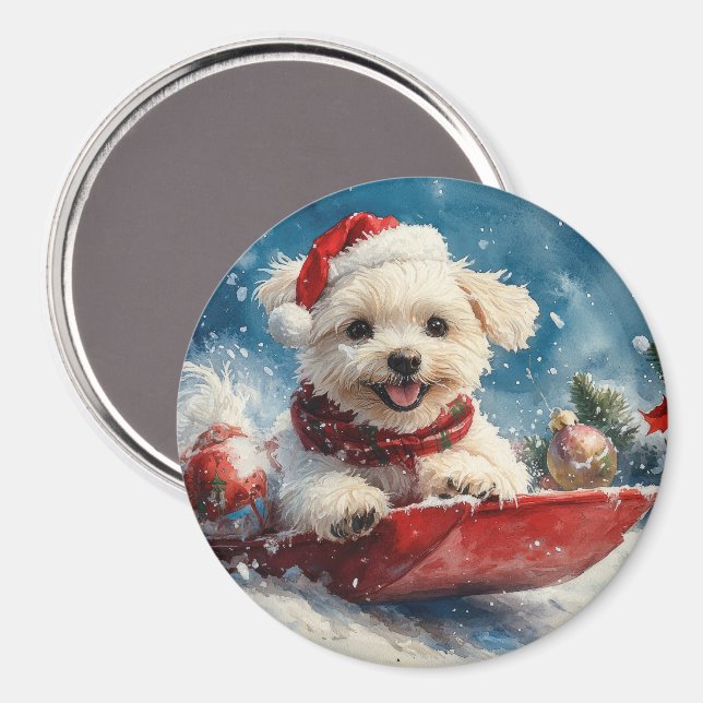 Maltese Dog in Sledge Let it Snow Christmas Magnet (Front/Back)