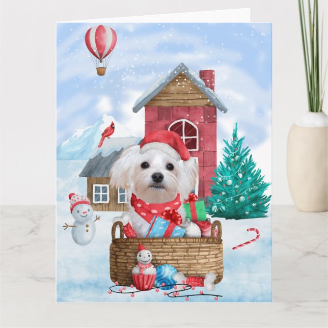Maltese Dog In snow Christmas Dog House  Card (Front)