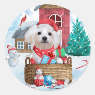 Maltese Dog In snow Christmas Dog House  Classic Round Sticker