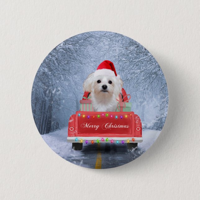 Maltese Dog in Snow sitting in Christmas Truck  6 Cm Round Badge (Front)