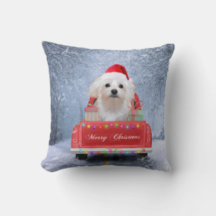 Maltese Dog in Snow sitting in Christmas Truck Cushion