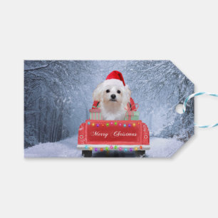 Maltese Dog in Snow sitting in Christmas Truck  Gift Tags