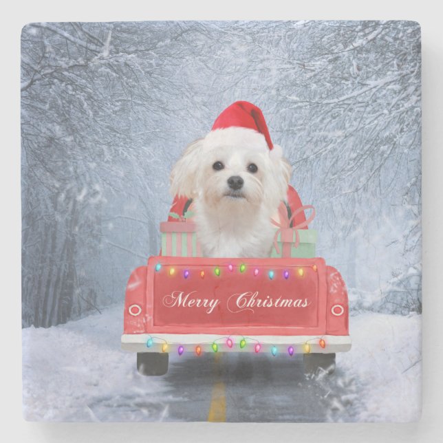 Maltese Dog in Snow sitting in Christmas Truck  Stone Coaster (Front)