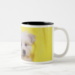 Maltese Dog; is a small breed of white dog that 2 Two-Tone Coffee Mug