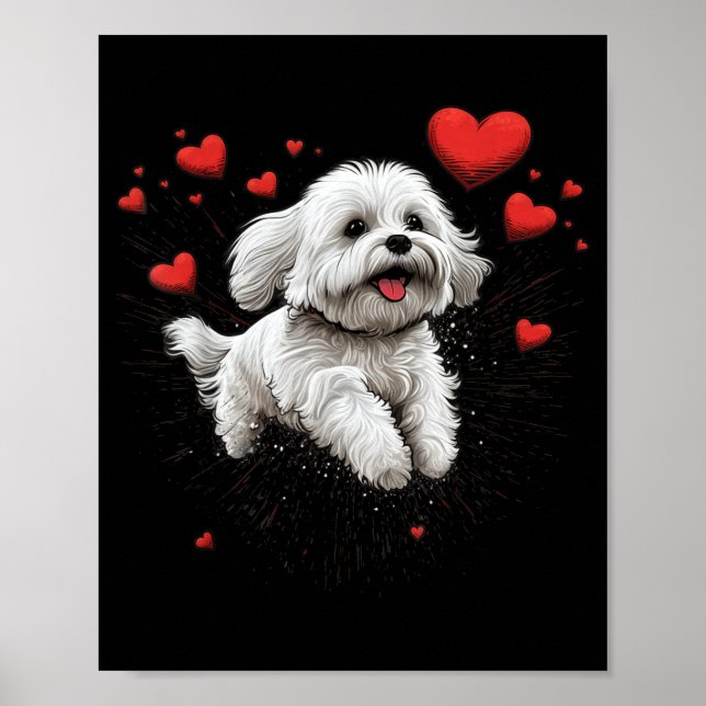 Maltese Dog Love Heart For Valentines Day Maltese  Poster (Front)