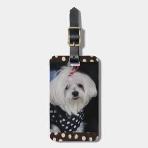 Maltese Dog Luggage Tag