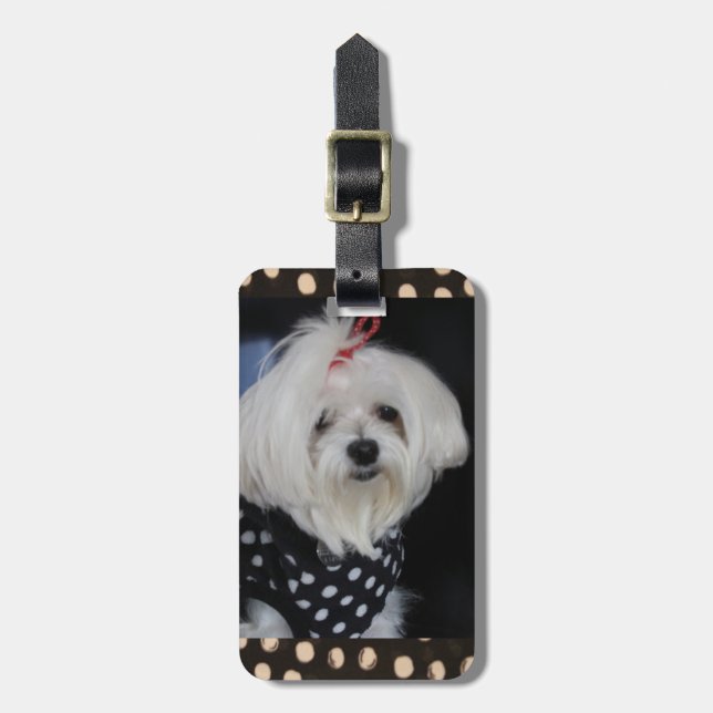 Maltese Dog Luggage Tag (Front Vertical)