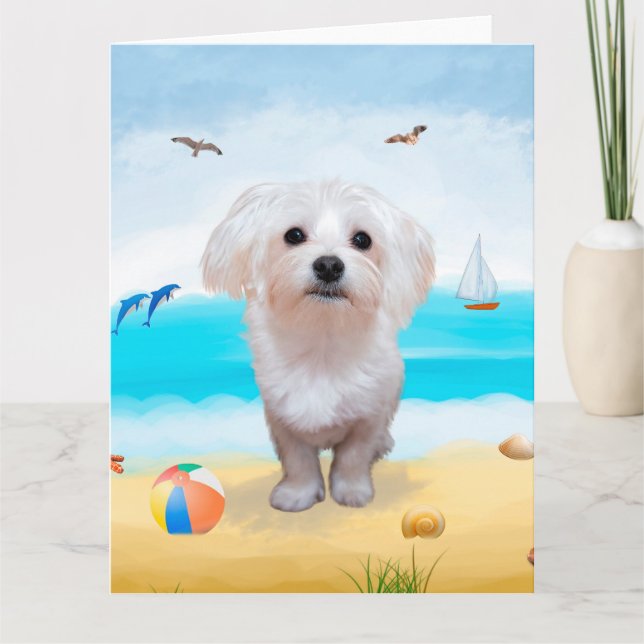 Maltese Dog on Beach Card (Front)