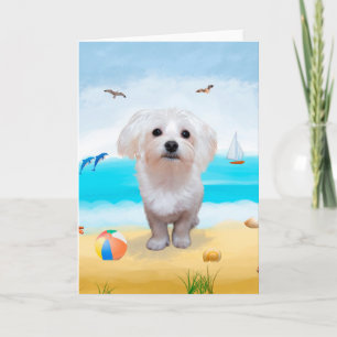 maltese Dog on Beach  Card