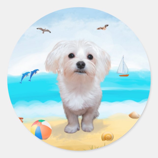 Maltese Dog on Beach Classic Round Sticker (Front)