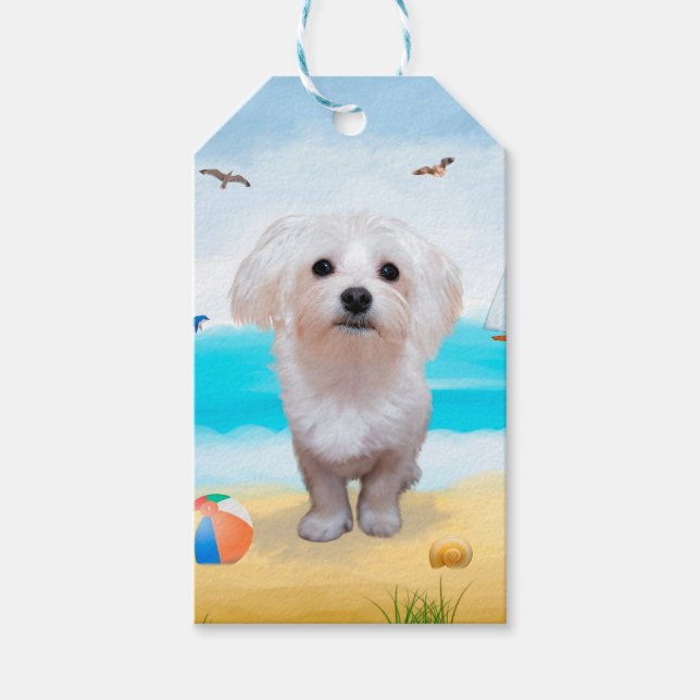 Maltese Dog on Beach Gift Tags (Front)