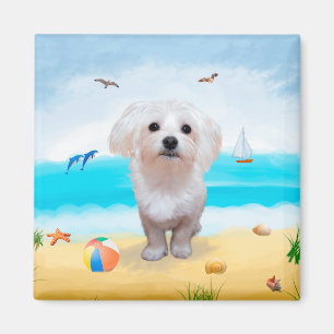 Maltese Dog on Beach Magnet