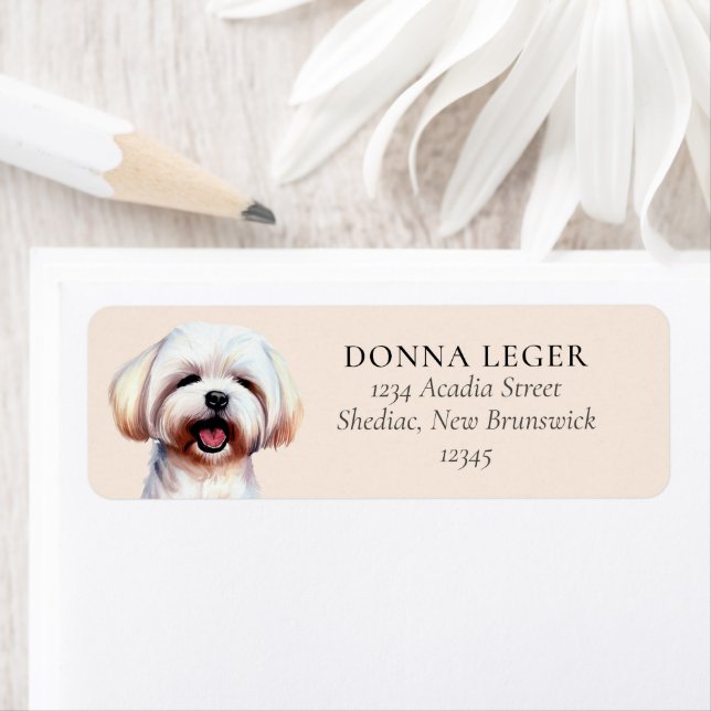 Maltese Dog Personalised Address (Insitu)