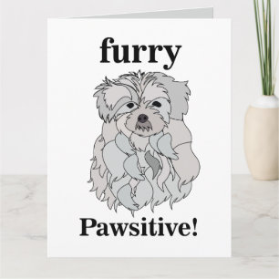 Maltese Dog Pet Animal  Card