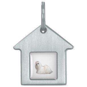 Maltese Dog Pet ID Tag