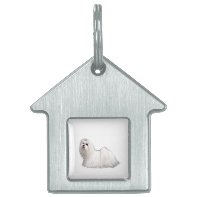 Maltese Dog Pet ID Tag (Front)