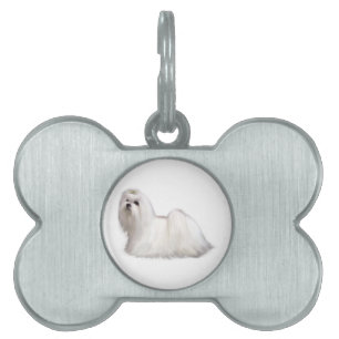Maltese Dog Pet ID Tag