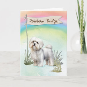 Maltese Dog Pet Sympathy Over Rainbow Bridge Card