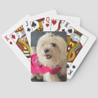 Maltese dog Playing cards