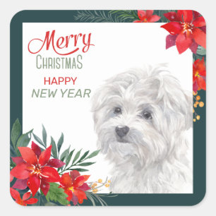 Maltese Dog Poinsettia Border Christmas Square Sticker