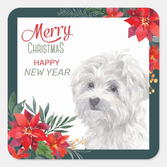 Maltese Dog Poinsettia Border Christmas Square Sticker (Front)