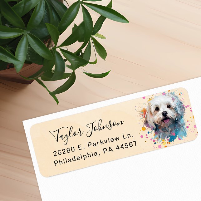 Maltese Dog Return Address Label (Creator Uploaded)