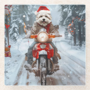 Maltese Dog Riding Motorcycle Christmas Glass Coaster