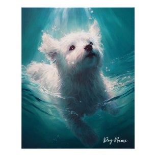 Maltese dog swimming in water 003 poster