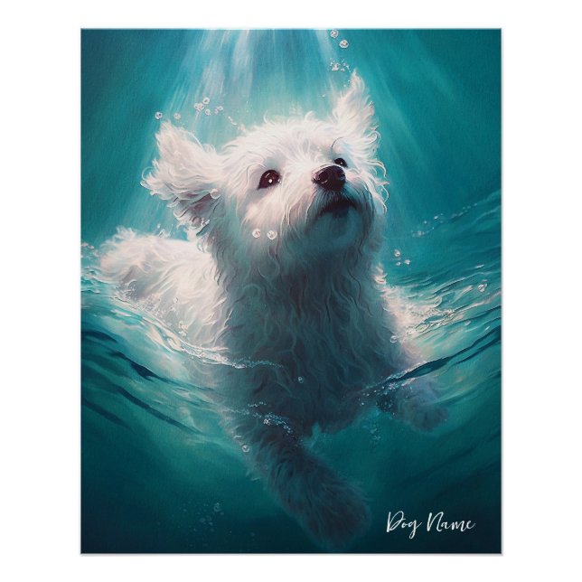 Maltese dog swimming in water 003 poster (Front)