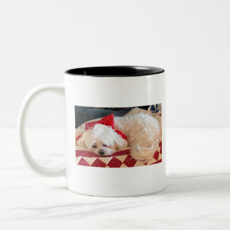 Maltese Dog Two-Tone Coffee Mug