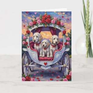 Maltese Dog Valentine's Day  Card