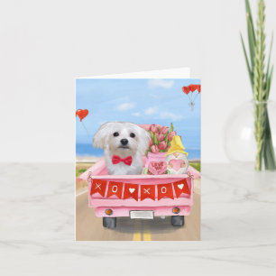 Maltese Dog Valentine's Day Truck Card