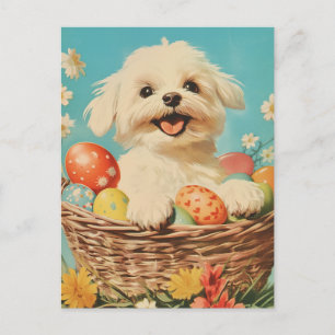 Maltese dog Vintage Easter Postcard