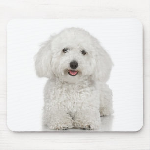 Maltese Dog White Mouse Mat
