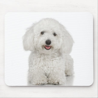 Maltese Dog White Mouse Mat