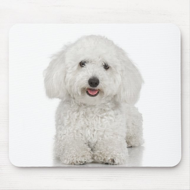 Maltese Dog White Mouse Mat (Front)