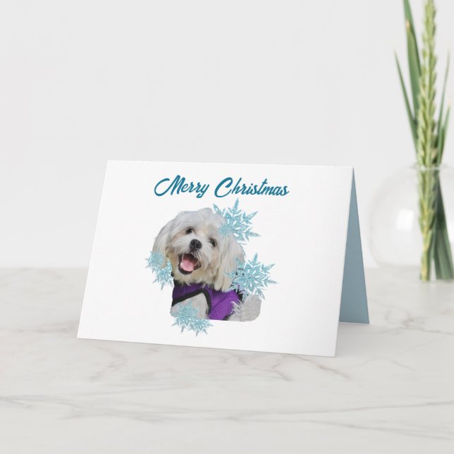 Maltese Dog with Purple Harness in the Snowflakes  Holiday Card (Front)