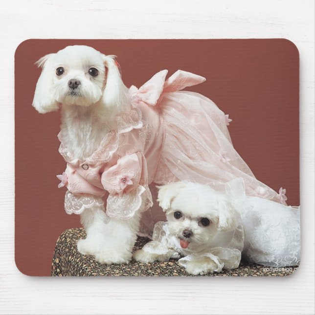 Maltese Dogs Mouse Mat (Front)
