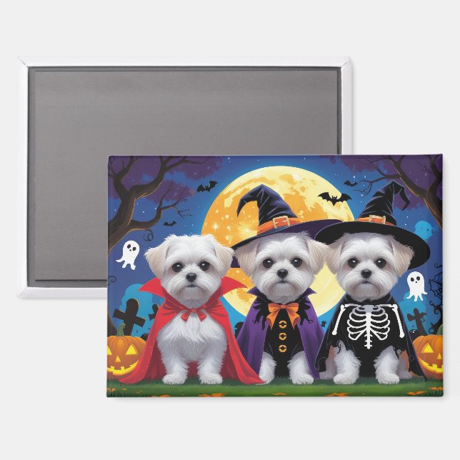 Maltese Dogs Pumpkin Halloween Funny Magnet (Front/Back)