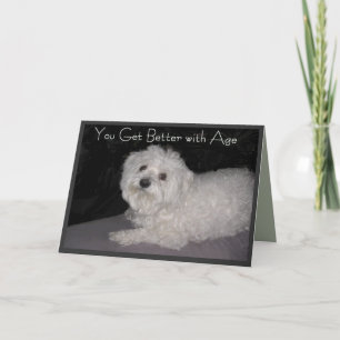 Maltese Friend Birthday Wishes Birthday Card