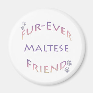 Maltese Furever Magnet