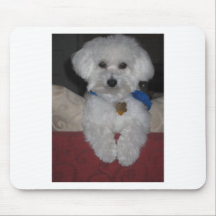 Maltese Gift Mouse Mat