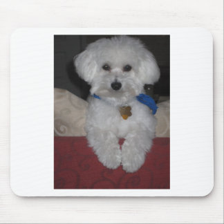Maltese Gift Mouse Mat