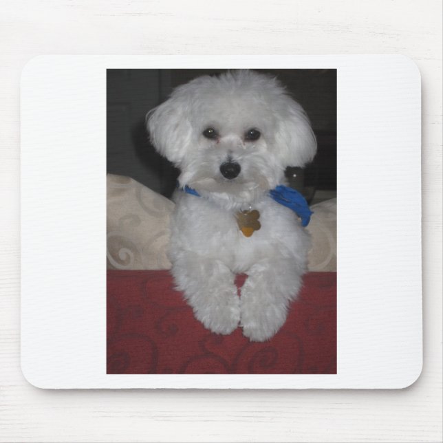 Maltese Gift Mouse Mat (Front)