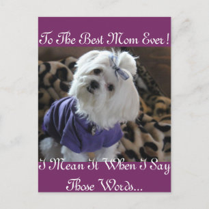 Maltese Gifts Postcard