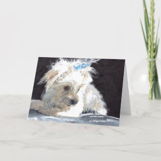 Maltese Greeting Card